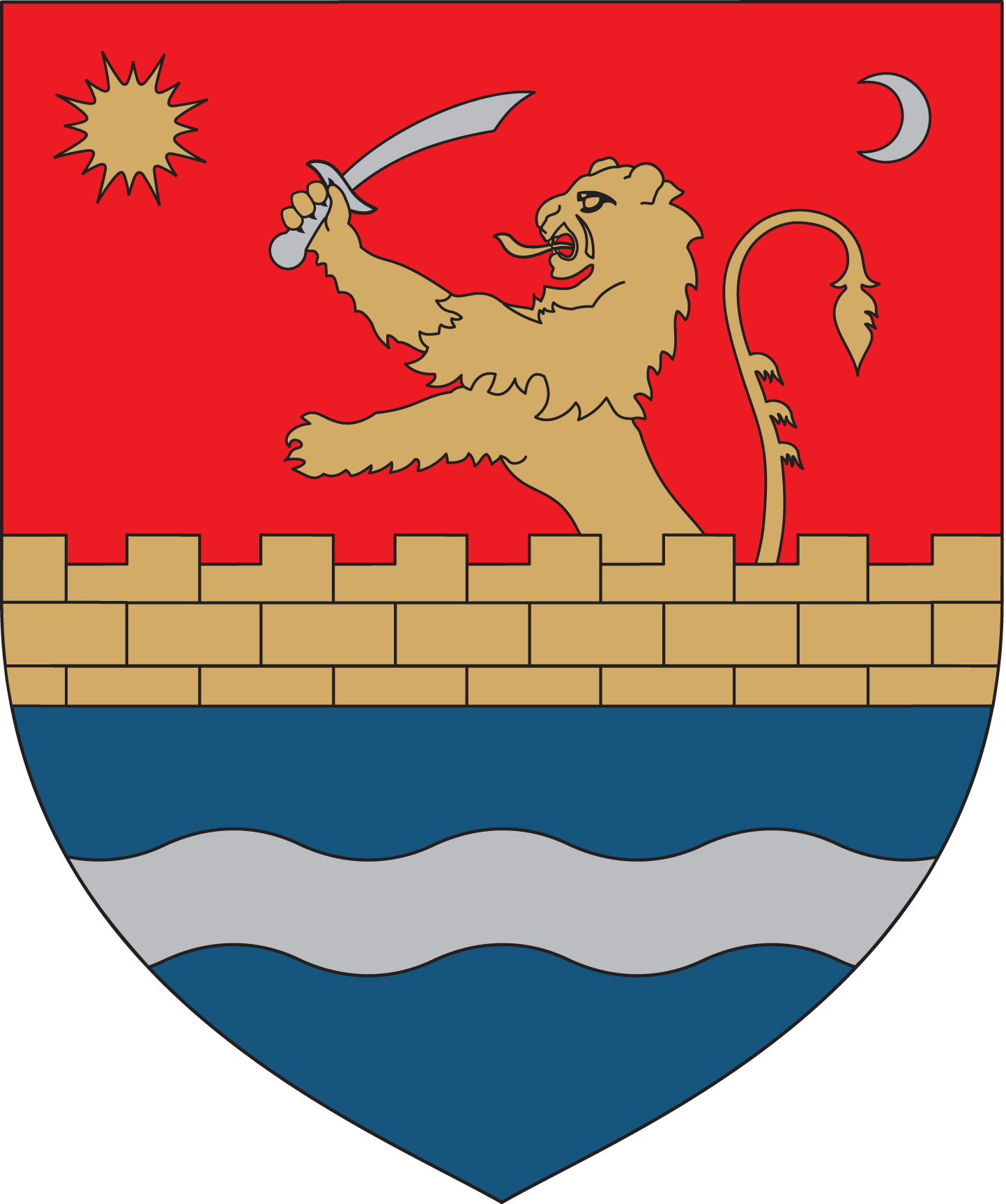 Consiliul Județean Timiș - Pagina oficială a Consiliului Județean Timiș logo