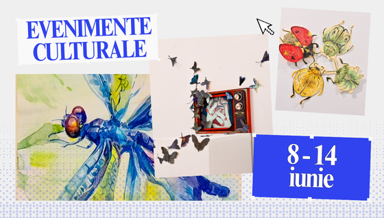Oferta culturală a Consiliului Județean pentru perioada 8 – 14 iunie  